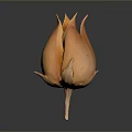 Elegant Orange Flower Shaped Decorative Home Living Accessory With Petal Design