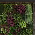 Green Plant Wall with Diverse Plants Various Green Tones and Lush Foliage for Indoor Decor