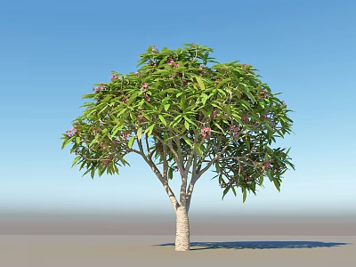 Tall Tree with Green Leaves and Pink Flowers White Trunk Against Blue Sky Background 3d model