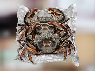 Fresh Whole Crabs Wrapped in Silver Foil Packaging for Tasty Seafood Meals 3d model