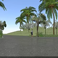 Road Facilities Featuring Asphalt Pavement Lined with Palm Trees Green Plants and Blue Sky