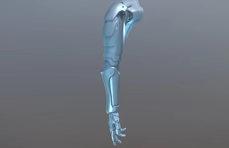 Arm Prosthetic Arm Mechanical Arm 3d model