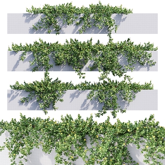 Modern vine hanging plant 3d model