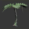 Green Fern Plant Featuring Feathery Leaves Textured Trunk And Decorative Base On Grey Background