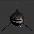 Realistic 3D Shark Model With Blue And White Color On Gray Background 3d model