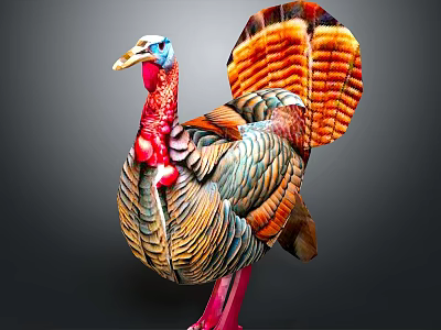 Colorful Turkey With Vibrant Feathers Red Wattle And Spread Tail 3d model