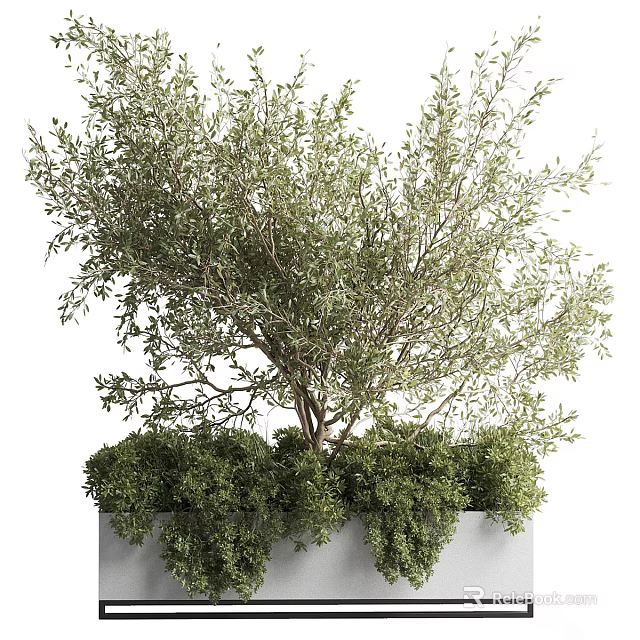 Lush Green Bonsai Potted Plant With Dense Foliage And Natural Ground Cover 3d model 