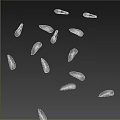 Natural Brown Plant Seeds Scattered on White Background Close Up View