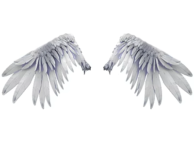 Elegant White Angel Wings Decorative Ornament Set for Home Decor 3d model