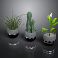 Stylish Indoor Houseplants in Decorative Ceramic Pots with Geometric Patterns and Reflections on Dark Background