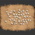 Wooden Container Filled With Straw And White Eggs On Dark Background