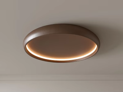 Modern Round Brown Ceiling Light With LED Strip For Interior Decoration 3d model