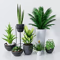 Bonsai Potted Plants Indoor Decor With Various Green Plants Different Pots on Stands Floors