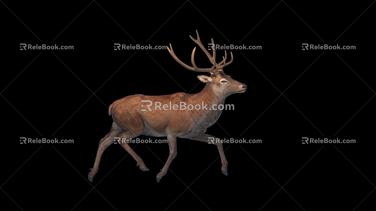 Deer Belt Action 3d model