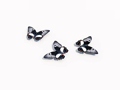Three Black Butterflies With White And Orange Spots On White Background 3d model