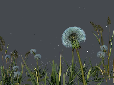 Large Blue Dandelion With Smaller Dandelions And Green Grass In Gray Sky With Stars 3d model