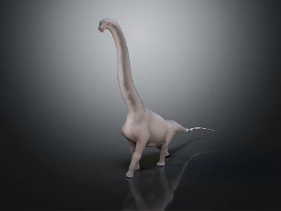 Realistic Gray Sauropod Dinosaur With Long Neck On Reflective Surface 3d model