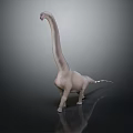 Realistic Gray Sauropod Dinosaur With Long Neck On Reflective Surface 3d model