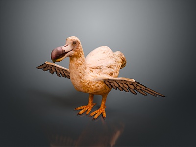 bird game animal cartoon animal realistic animal 3d model