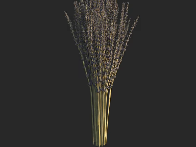 Beautiful Lavender Bouquet in Ceramic Vase for Home Decor Accent 3d model
