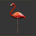 Modern Flamingo Cartoon Flamingo Anime Flamingo 3d model