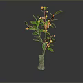 Decorative Plant with Brown Trunk Green Leaves Red and Yellow Fruits Against Dark Background