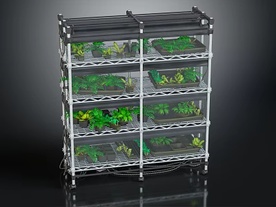 Multi Tier Indoor Plant Stand With Sturdy Structure And Various Green Plants 3d model