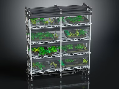 Multi Tier Indoor Plant Stand With Sturdy Structure And Various Green Plants 3d model