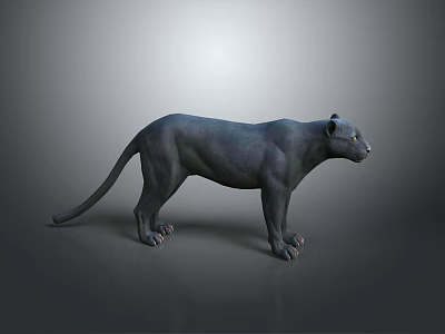 Black Panther 3D Model Standing in Gray Background with Realistic Features 3d model