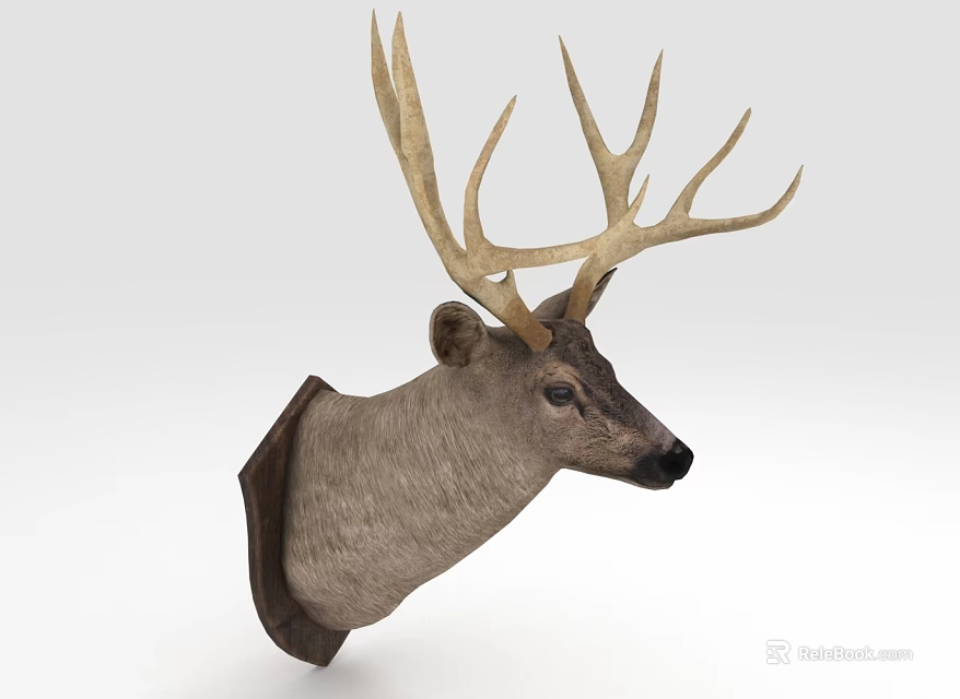 Natural Looking Decorative Deer Head Mount with Large Antlers Mounted on Wall 3d model 