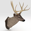 Natural Looking Decorative Deer Head Mount with Large Antlers Mounted on Wall