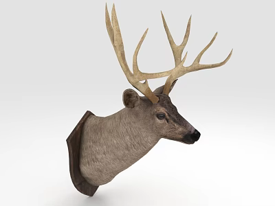 Natural Looking Decorative Deer Head Mount with Large Antlers Mounted on Wall 3d model