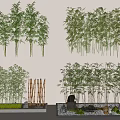 Various Bamboo Plant Types in Potted Decorative Arrangements with Stones and Lush Green Foliage