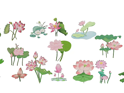 Modern lotus combination lotus lotus lotus leaf bud lotus flower lotus water lily lotus leaf lotus beautiful Chen decorative wall decoration 3d model