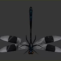 Dragonfly With Blue Black Body Orange Eyes And Black White Wings On Gray Background
