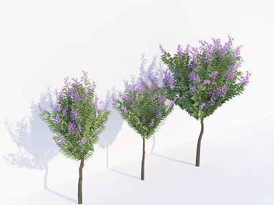 Three Decorative Arbor Trees With Purple Flowers Green Leaves And Shadows On White Background 3d model