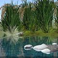 Scenic Natural Landscape With Tall Green Grass Calm Water Floating Stones And Blue Sky
