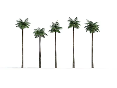 Five Tall Palm Arbor Trees With Green Fronds Arranged In Line 3d model