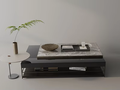 Modern Sofa and Coffee Table Set with Marble Top Side Table Plant and Storage Shelf 3d model
