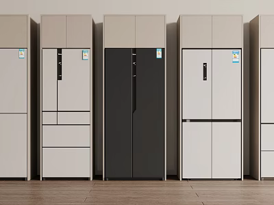 Modern Refrigerators and Freezers in Various Styles Colors and Designs Displayed Together 3d model
