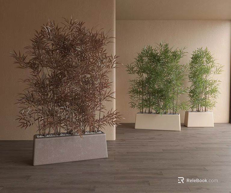 Bonsai Plants With Green And Brown Bamboo In Square Planters On Wooden Floor 3d model 