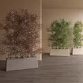 Bonsai Plants With Green And Brown Bamboo In Square Planters On Wooden Floor