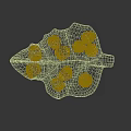 Leaf Shaped Wooden Bowls Holding Fresh Yellow Pears On Black Surface
