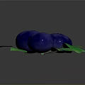 Organic Fresh Ripe Blueberries With Green Leaves On Dark Background