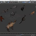 Animal Mammal Low Model Animal Low Face Number Animal Game Animal Simple Model Realistic Animal Camel Kangaroo Ostrich Turtle Lizard 3d model