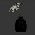 Black Cylindrical Textured Vase Holding Three White Daisies On Dark Background
