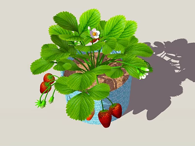 Strawberry Bonsai Potted Plant With Green Leaves And Ripe Fruits In Decorative Pot 3d model