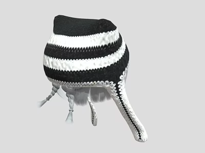 Knitted Black And White Striped Hat With Hanging Tassels And Soft Texture 3d model