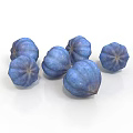 Fresh Blue Plant Fruits With Round Shape And Smooth Surface On White Background