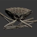 Flying Insect With Long Antennae And Rough Exoskeleton On Dark Background 3d model
